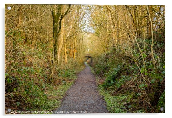 Woodland trail along the old Dumfries and Galloway Railway line, Scotland Acrylic by SnapT Photography