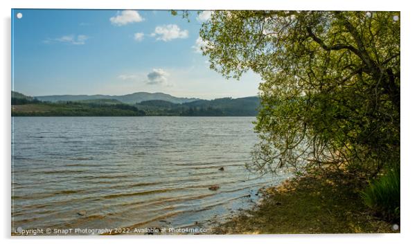 Loch Ard on a summers day in Loch Lomond and Trossachs National Park, Scotland Acrylic by SnapT Photography