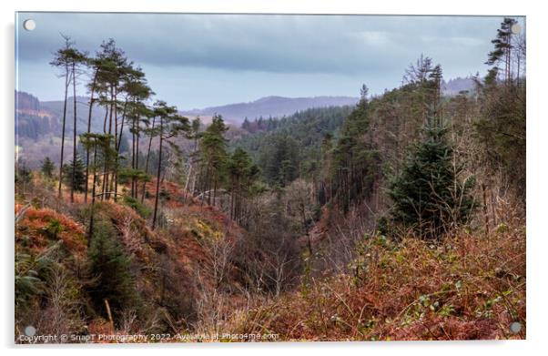 Glen of the Bar viewpoint in Autumn beside The Queen's Way, Galloway Forest Acrylic by SnapT Photography