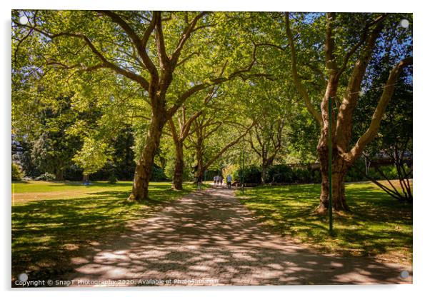 A woodland path in Stanley Park, Vancouver, British Columbia, Canada Acrylic by SnapT Photography