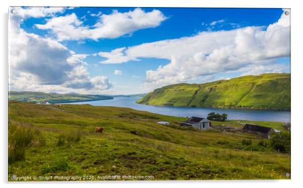 A view across Loch Harport on the Isle of Skye, with a Highland cow grazing Acrylic by SnapT Photography
