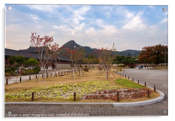 A park in the grounds of Gyeongbokgung Palace and Inwangsan Mountain Acrylic by SnapT Photography