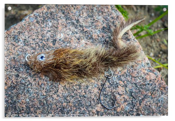 A mouse pattern fly on a rock, used for big trout and taimen fishing Acrylic by SnapT Photography