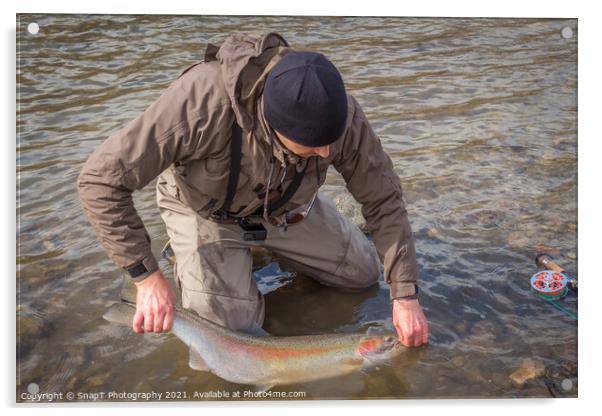 An angler unhooking a fly from a steelhead in the morning spring sun Acrylic by SnapT Photography