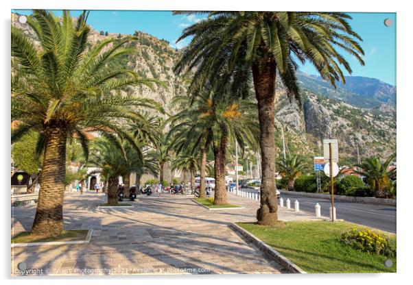 Palm tree lined pavement or sidewalk beside the harbour in Kotor, Montenegro Acrylic by SnapT Photography