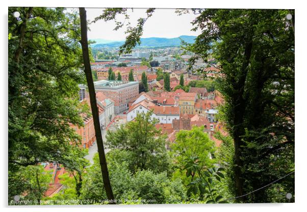 A view through the trees from the view point on Ljubljana Castle, Slovenia Acrylic by SnapT Photography