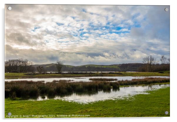 Flooded marshland at Loch Ken in winter near Parton, Galloway, Scotland Acrylic by SnapT Photography