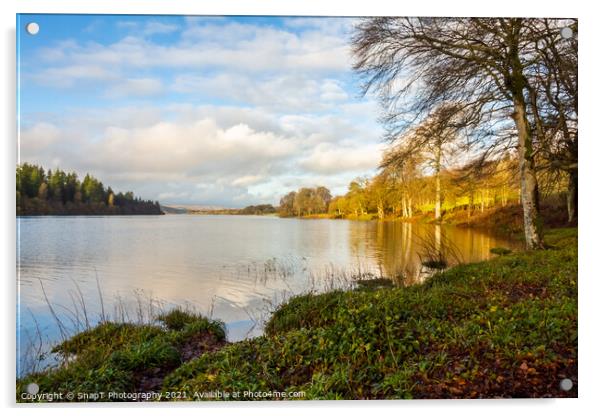 Winter sun over Loch Ken at Parton, Dumfries and Galloway, Scotland Acrylic by SnapT Photography