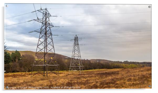 Electricity pylons in a field on a cloudy day in winter at Kendoon Power Station Acrylic by SnapT Photography