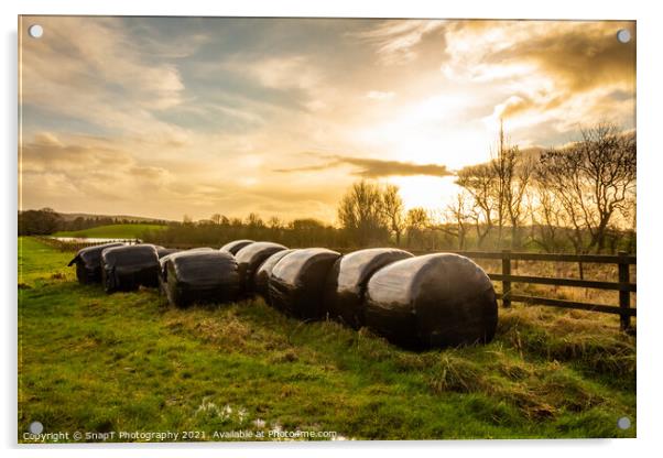 Silage bales beside a wooden fence in a green field, at sunset Acrylic by SnapT Photography