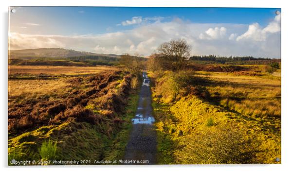 The remains of the old Galloway Railway train line or paddy line at Mossdale Acrylic by SnapT Photography