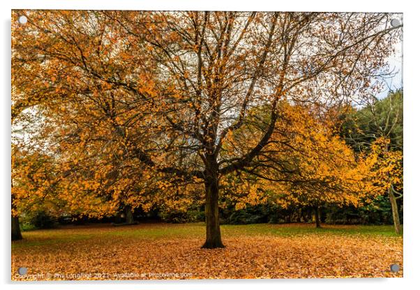 Autumn leaves in a Liverpool park  Acrylic by Phil Longfoot