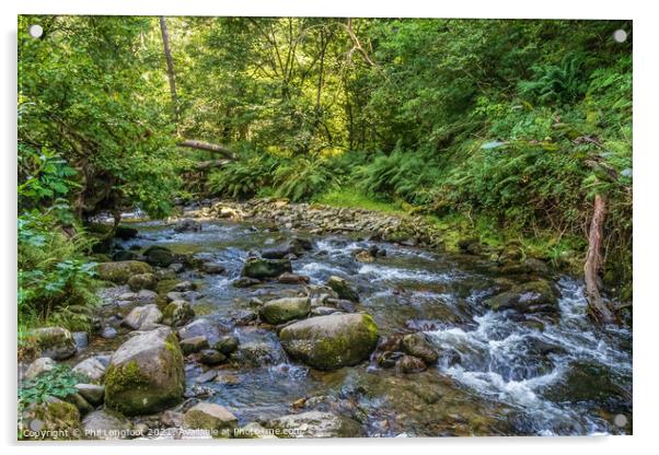 Woodland river near Aber Falls near Bangor Wales Acrylic by Phil Longfoot