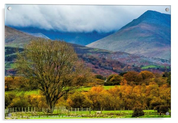 The mountains of Bethesda North Wales Acrylic by Phil Longfoot