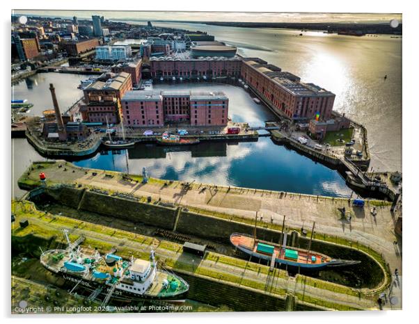Royal Albert Dock docklands from the air Acrylic by Phil Longfoot