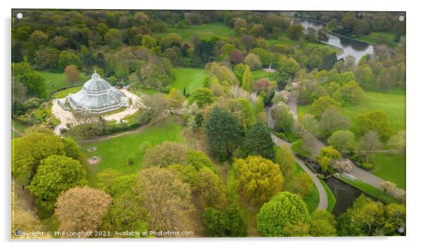 Sefton Park Liverpool by air Acrylic by Phil Longfoot
