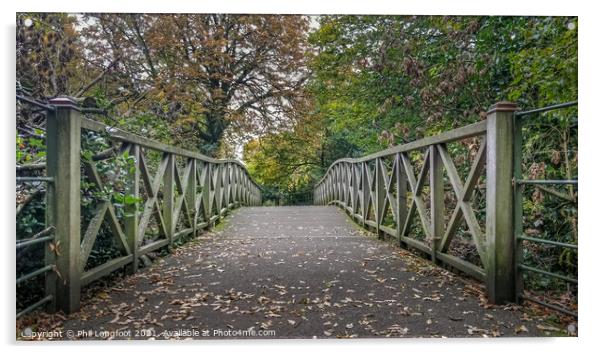 Natures bridge Birkenhead Park  Acrylic by Phil Longfoot