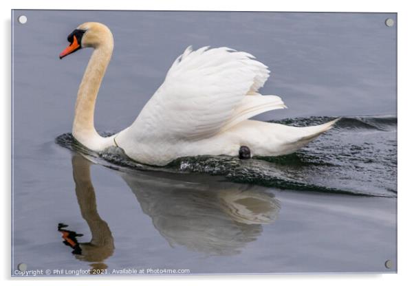 Swan Lake  Acrylic by Phil Longfoot