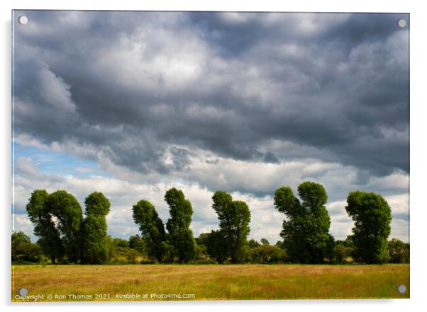 Trees and Sky Acrylic by Ron Thomas