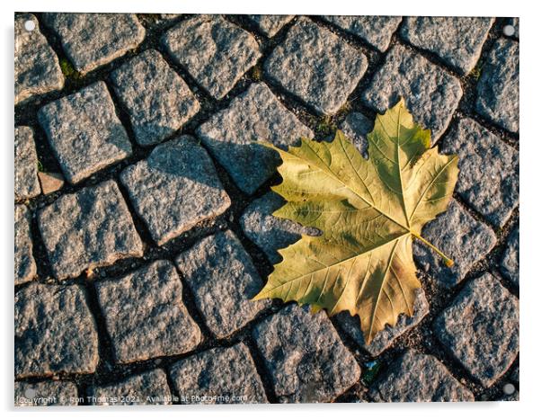Fallen Leaf Acrylic by Ron Thomas