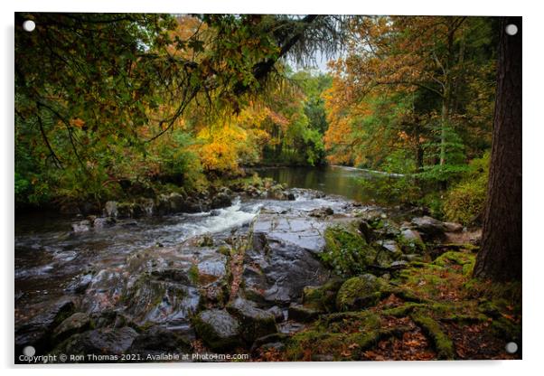Afon Llugwy, Bews-y-Coed North Wales Acrylic by Ron Thomas