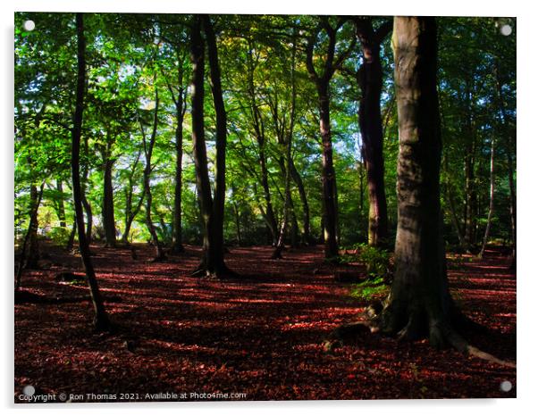 Eastham Woods, Wirral. Acrylic by Ron Thomas