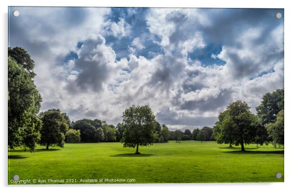 Trees in Birkenhead Park Acrylic by Ron Thomas