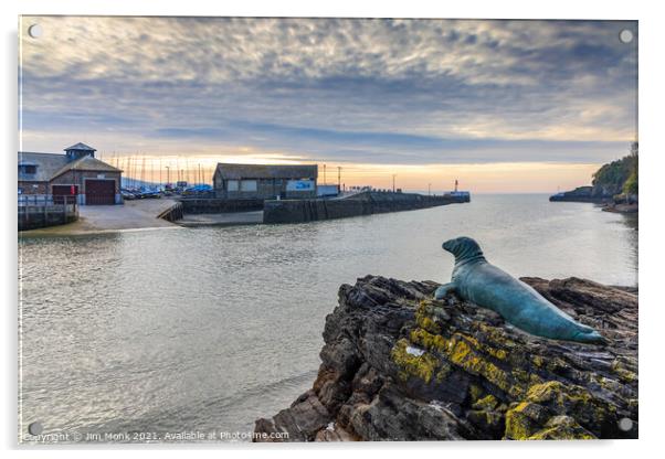 Nelson The Seal At Looe Acrylic by Jim Monk