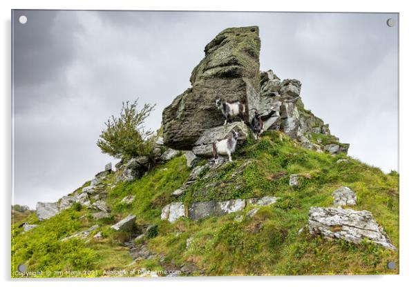 Valley of Rocks in Devon  Acrylic by Jim Monk