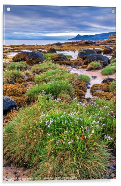 Corrie coast, Isle of Arran Acrylic by Jim Monk