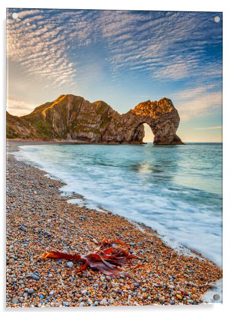 Durdle Door Sunrise, Dorset Acrylic by Jim Monk