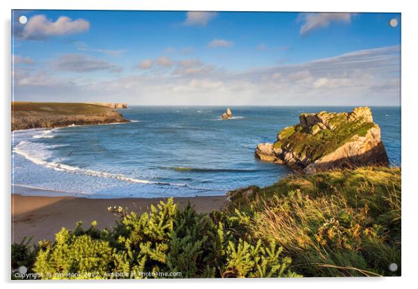 Broadhaven South, Pembrokeshire Acrylic by Jim Monk