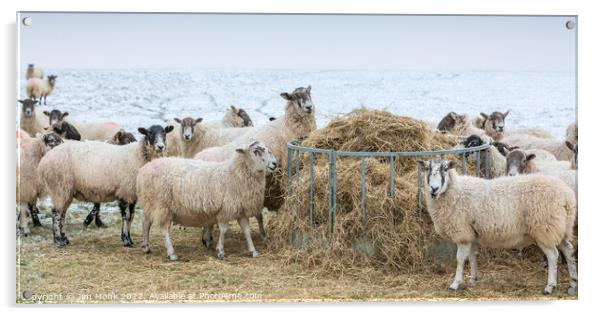 Sheep feeding in winter Acrylic by Jim Monk