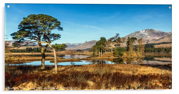 Loch Tulla morning Acrylic by Jim Monk