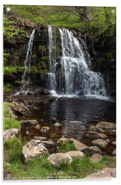 East Gill Force Acrylic by Jim Monk