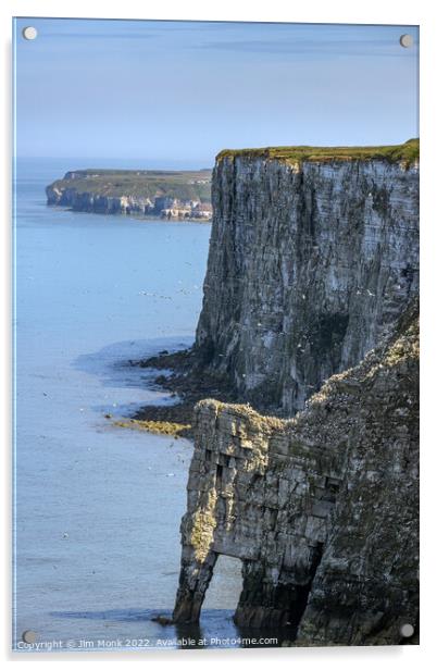 Bempton Cliffs Acrylic by Jim Monk