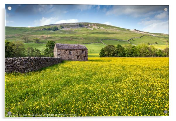 Buttercup Meadow, Yorkshire Dales Acrylic by Jim Monk
