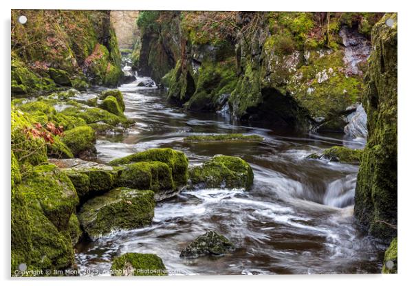 The Fairy Glen, Wales Acrylic by Jim Monk