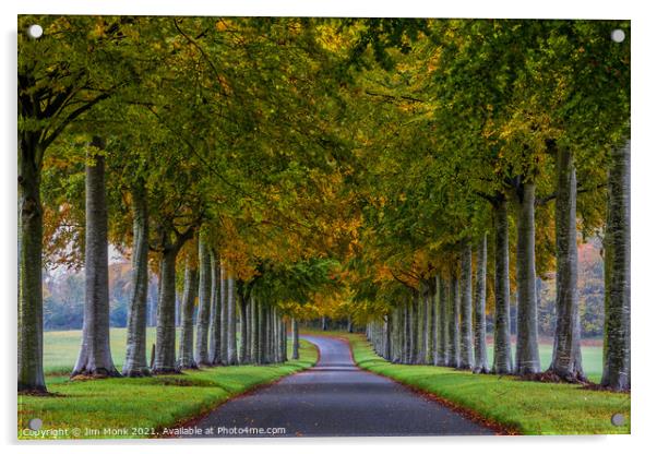 Beech Avenue Moor Crichel Acrylic by Jim Monk