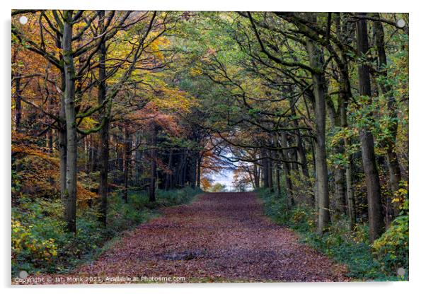 Woodland Path in Leicestershire Acrylic by Jim Monk