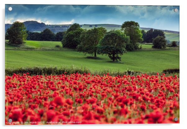 Peak District Poppies Acrylic by Jim Monk