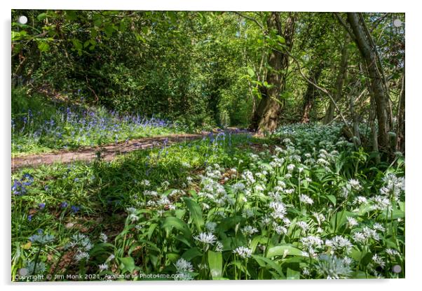 Wild Garlic and Bluebells Acrylic by Jim Monk