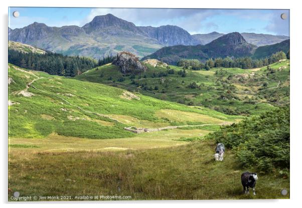 Little Langdale Valley Acrylic by Jim Monk