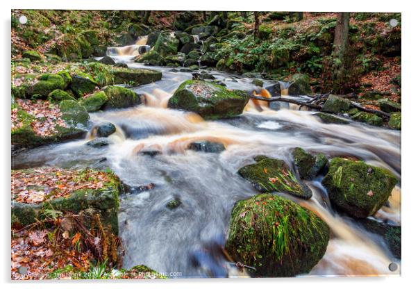 Burbage Brook, Padley Gorge Acrylic by Jim Monk