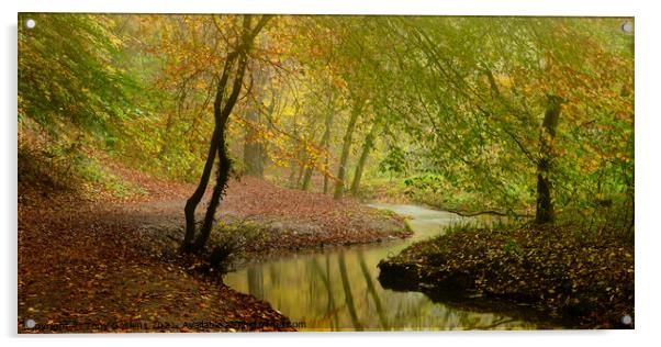 Autumn Colours Acrylic by Tony Gaskins