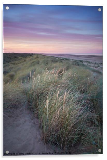 Light on the Dunes, Lincolnshire  Acrylic by Tony Gaskins