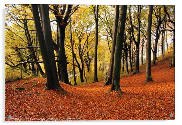 Autumn Woodland Acrylic by Glyn Evans