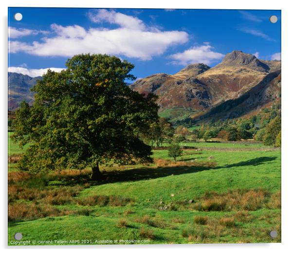 Looking towards Langdale Pikes, Lake District, Cumbria, UK Acrylic by Geraint Tellem ARPS