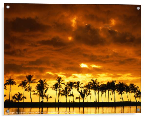 Palm trees at sunset, Kailua-Kona, The Big Island, Hawaii, USA Acrylic by Geraint Tellem ARPS