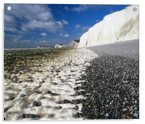 Seven Sisters from Birling Gap, East Sussex, England, UK Acrylic by Geraint Tellem ARPS